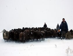 Kar Palandökende sefa, kırsalda cefa